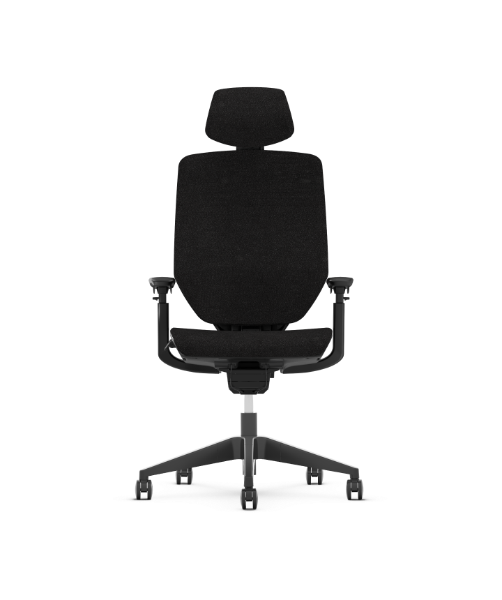 Meilleur chaise de bureau ergonomique dos design noir gris BS12 PRO | FlexiSpot FR