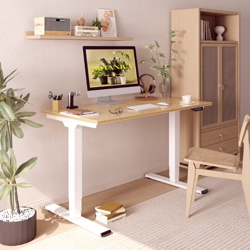 Flexispot height adjustable electric standing desk sales