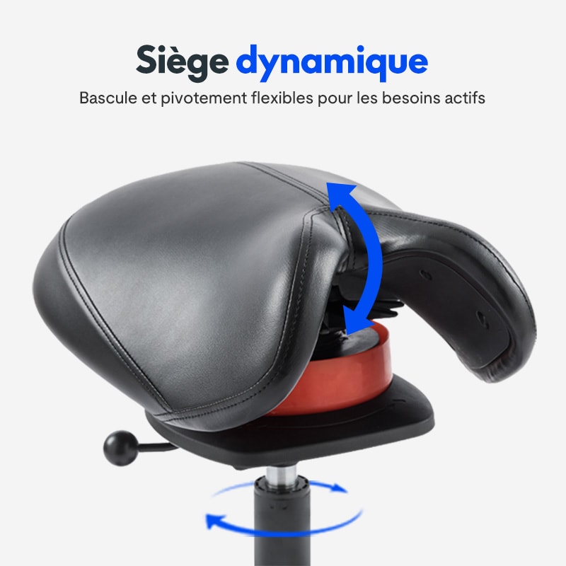 Siège selle 51-65 cm 150 kg Noir/doré Siège selle de cheval Tabouret à Siège selle 51-65 cm 150 kg Noir/doré Siège selle de cheval Tabouret à