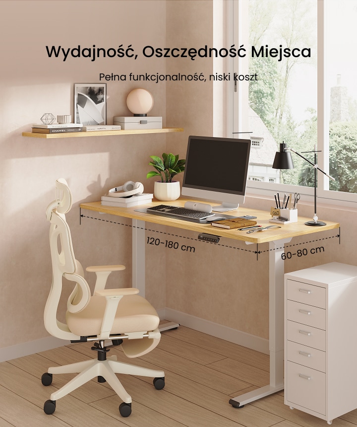 Flexispot E1W ホワイト Biurko stojące z podwójnym silnikiem FlexiSpot Standard