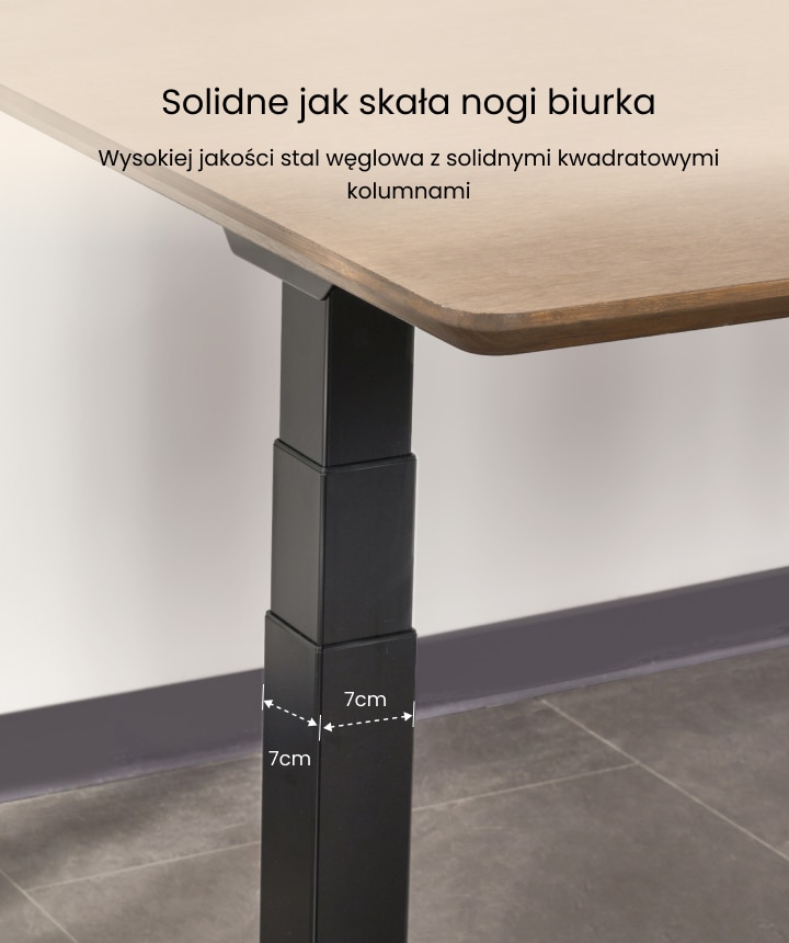 Biurko z regulacją wysokości E7 | FlexiSpot PL
