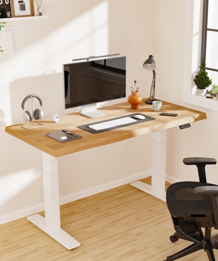 Standing Desk With Brushless Motors E9 | FlexiSpot