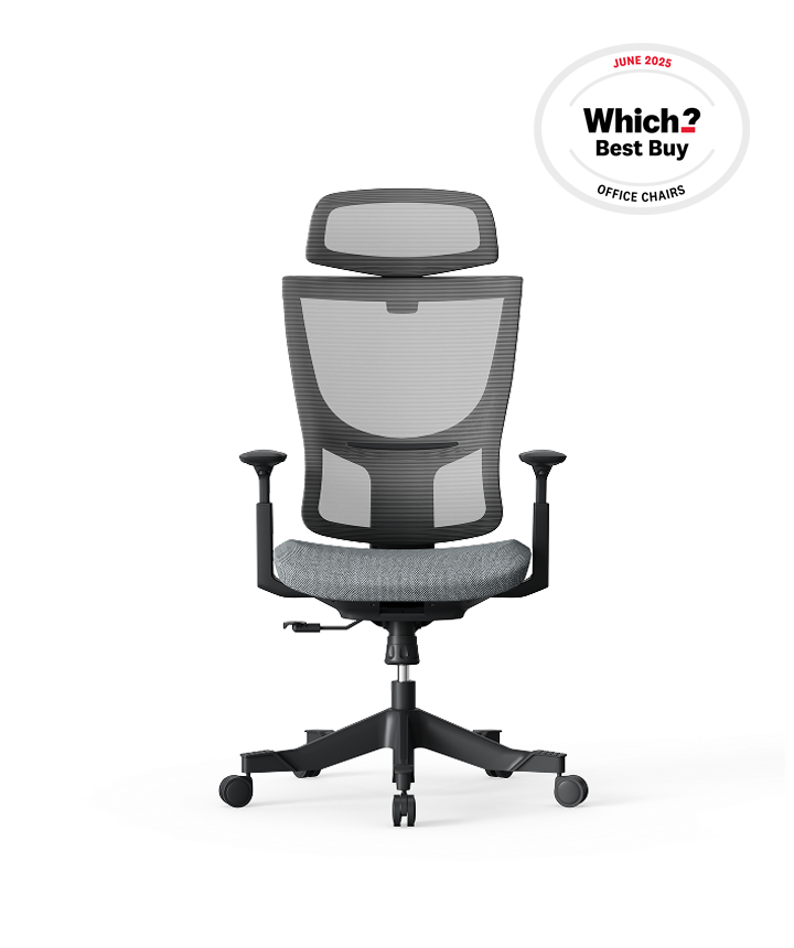 BackSupport Office Chair BS8 FlexiSpot