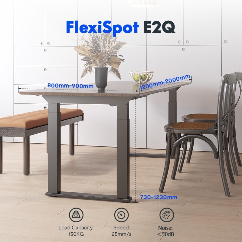 Flexispot E2Q Standing Desk