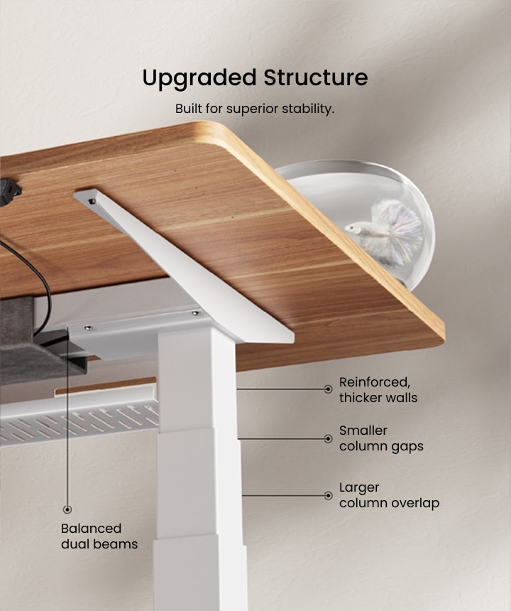 Next-Generation Height Adjustable Desk E7PRO | FlexiSpot