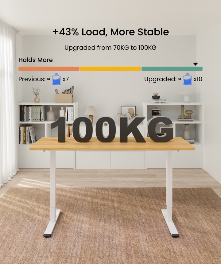 Electric Height Adjustable Standing Desk E1| FlexiSpot