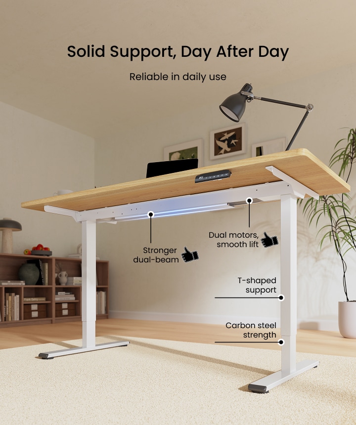 Height Adjustable Desk E1 Pro | FlexiSpot