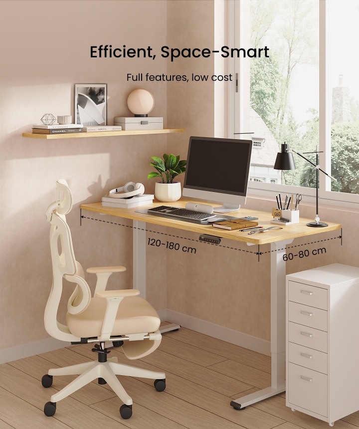 Electric Height Adjustable Standing Desk E1| FlexiSpot