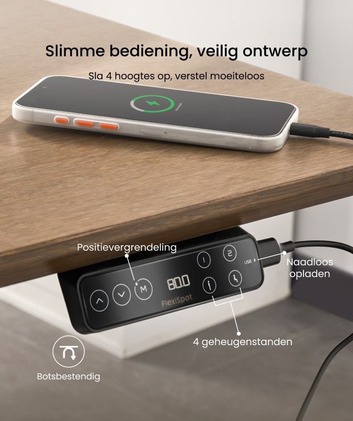 FlexiSpot Elektrisch Bureau met Verstelbare Hoogte, Stijf Staal, 2 FlexiSpot Elektrisch Bureau met Verstelbare Hoogte, Stijf Staal, 2