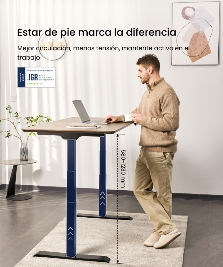 Escritorio de Altura Regulable E7|FlexiSpot