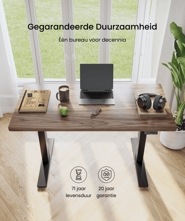 FlexiSpot Elektrisch Sta-Bureau Met Eénstukige Werkblad