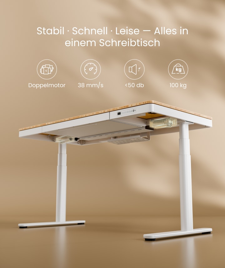 Bambus Hhenverstellbarer Schreibtisch Q8 | FlexiSpot