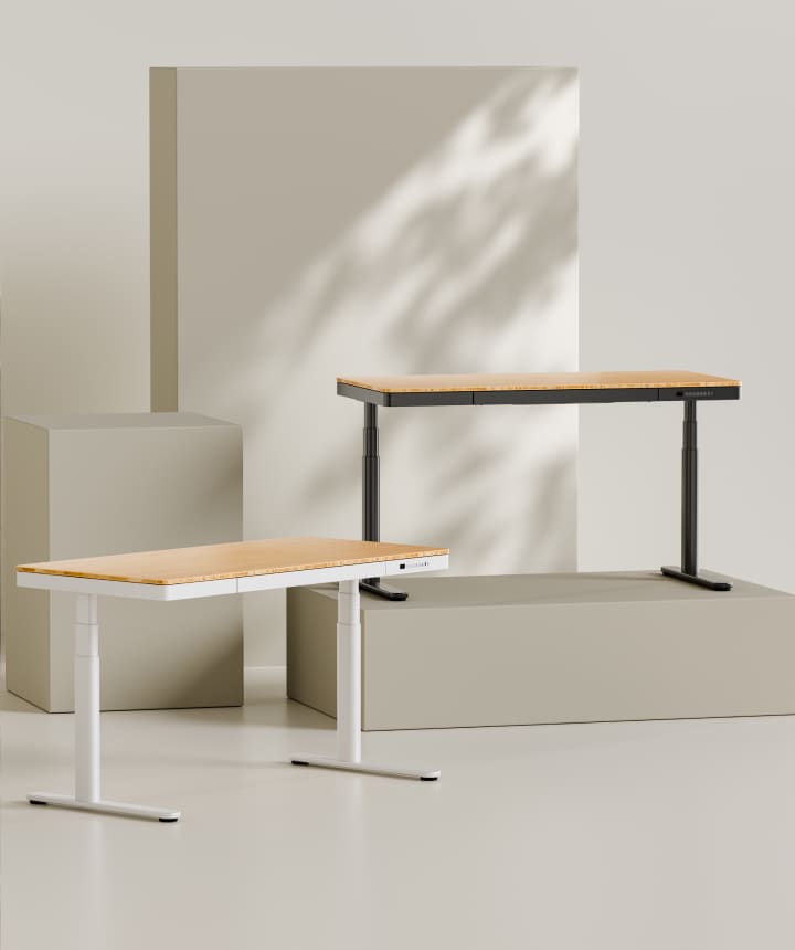 Bambus Hhenverstellbarer Schreibtisch Q8 | FlexiSpot