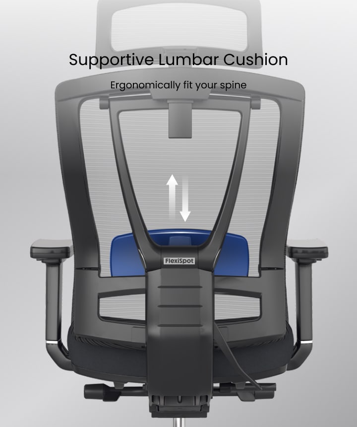 Premium Ergonomic Office Chair C7 AIR | FlexiSpot UK