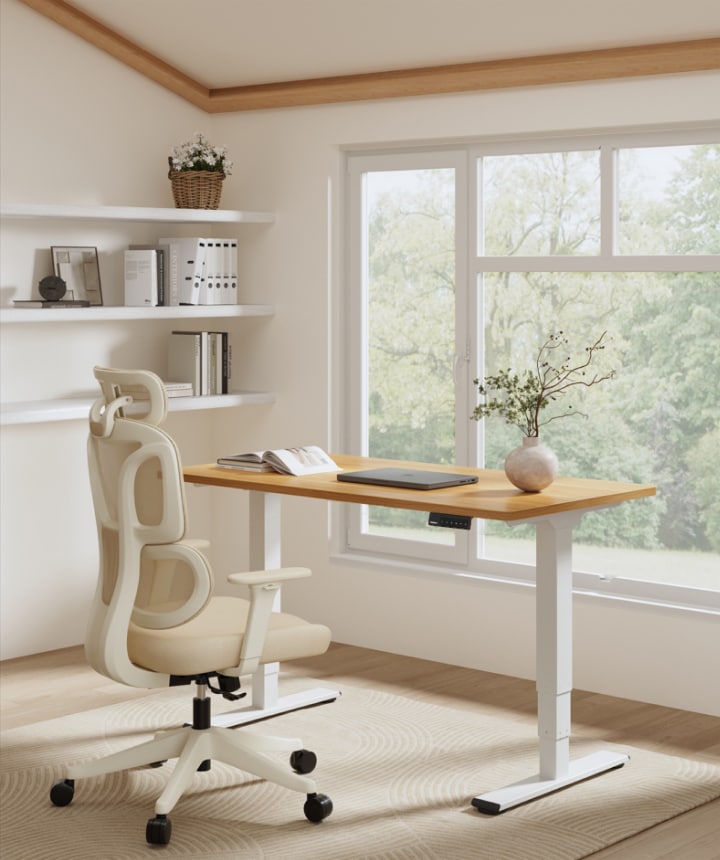 FLEXISPOT Basic Bureau Assis Debout Bureau Électrique Réglable en Hauteur, Cadre en Acier à 2 Étages avec Puissant MoteurBouton, Haut et Bas, Blanc Pour Travail, Industriel