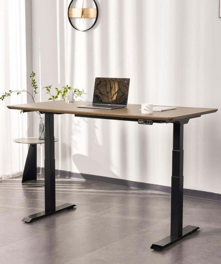 Adjustable Standing Desk Pro Series| FlexiSpot