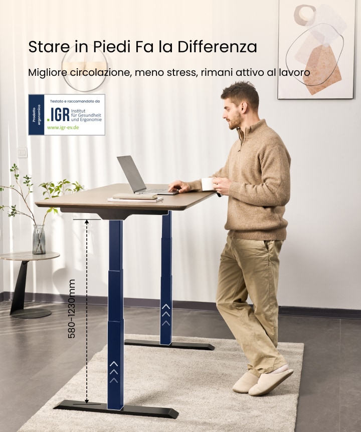 Scrivania Regolabile in Altezza E7/E7H FlexiSpot