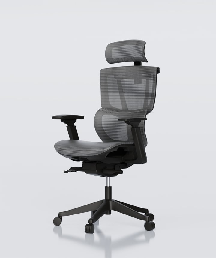 Flexispot ergonomic office chair discount