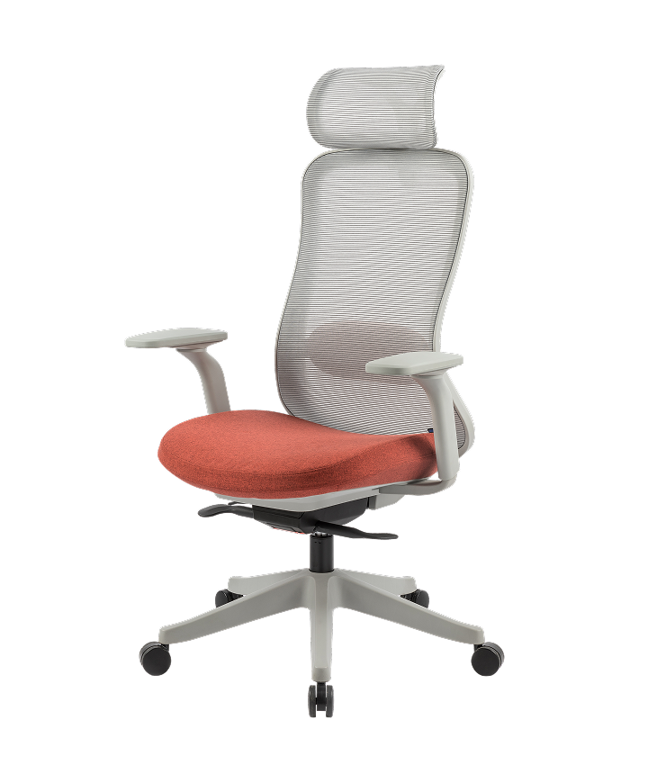 FLEXISPOT Chaise de bureau ergonomique avec appui-tête Noir