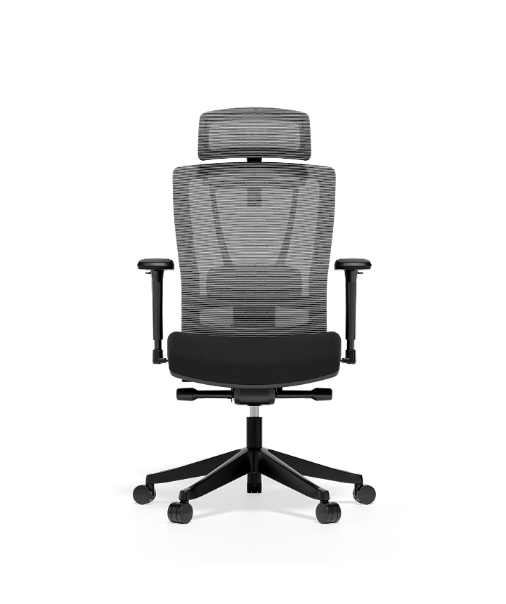 FLEXISPOT ErgoX Ergonomische Bureaustoel – Mesh Rugleuning, Adaptieve Lendensteun, 3D-armleuningen, Hoofdsteun, SGS/BIFMA Getest, Werkstoel Voor Langdurig Zitten