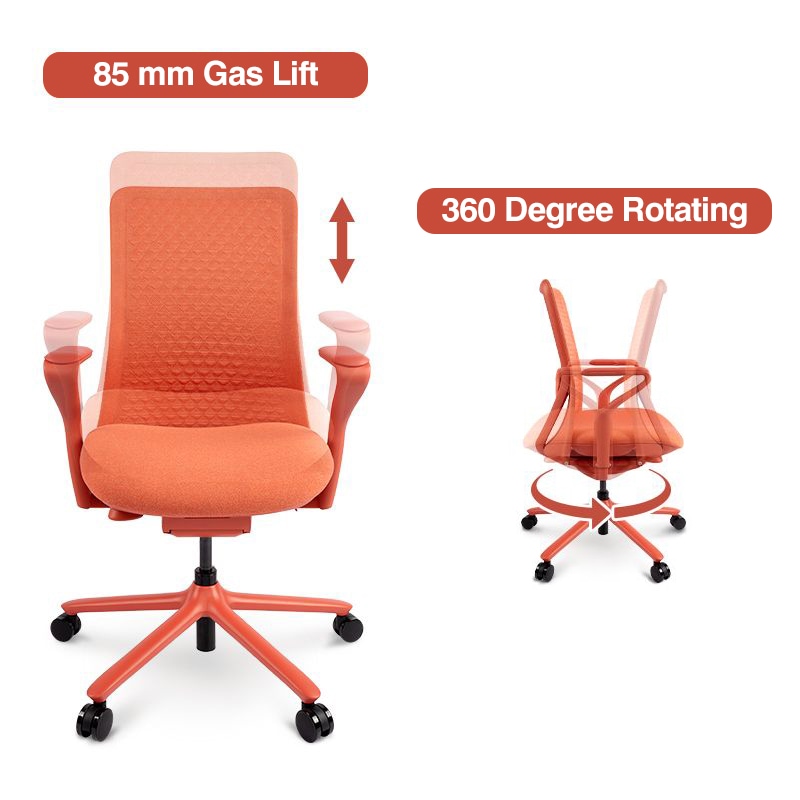 Ergonomic Office Wheelchair Office Chair Ergodynamic EHC-420