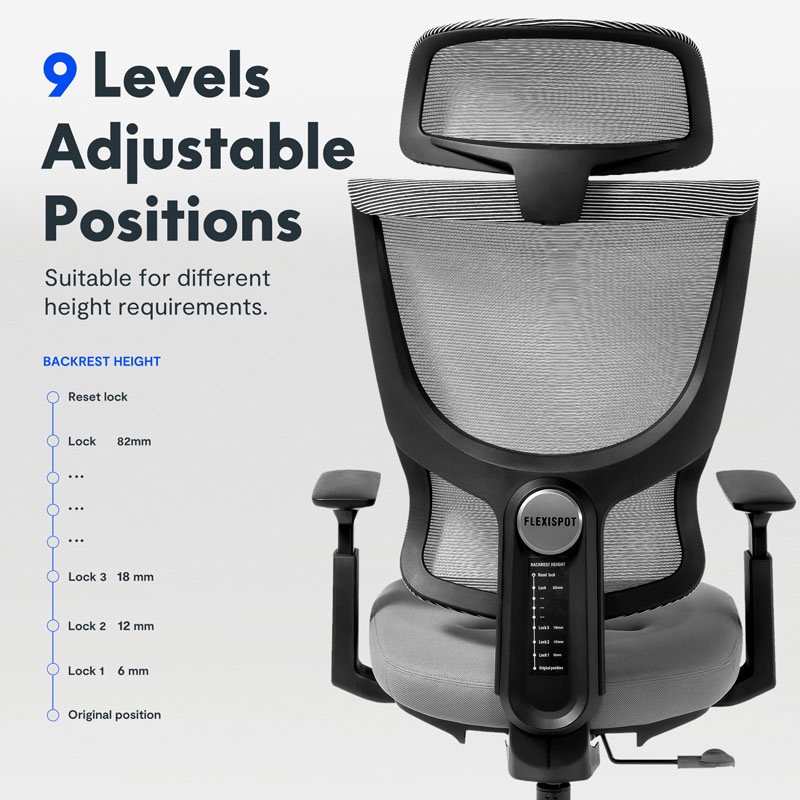 BackSupport Office Chair BS8 FlexiSpot