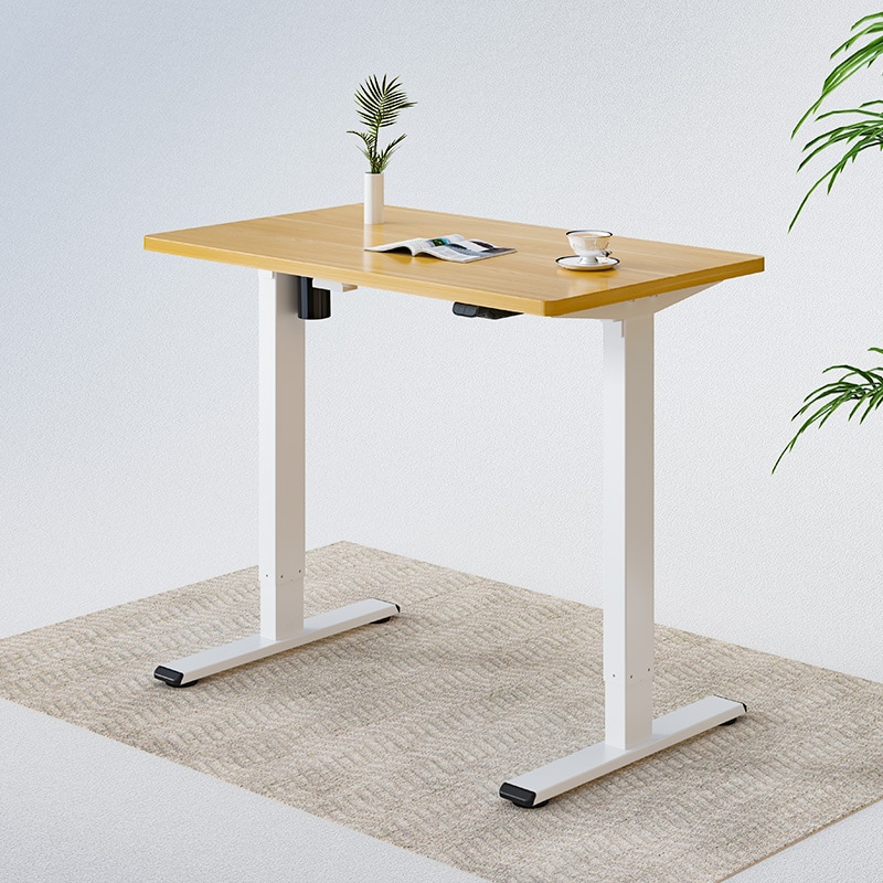Height Adjustable Standing Desk EG1 Stand Up Desk Frame| FlexiSpot