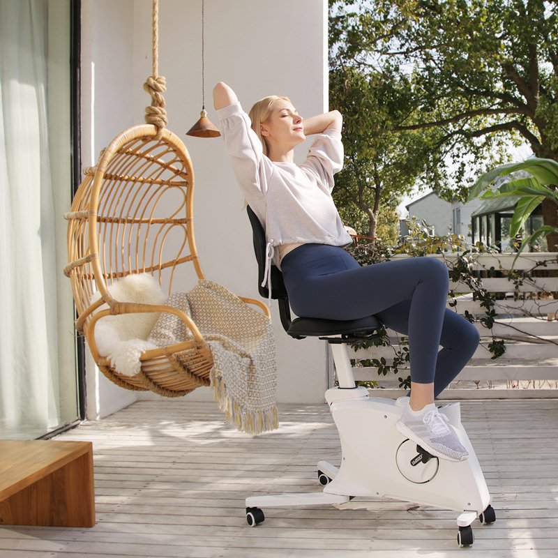 Flexispot Sit2Go 2-in-1 Fitness Chair Review