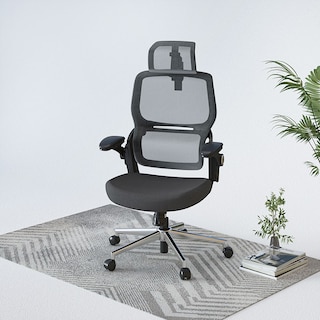 BackSupport Office Chair BS8