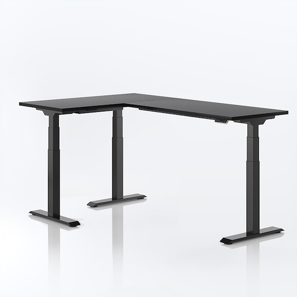 Standing Desk FlexiSpot