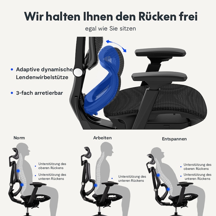 Premium Ergonomischer Bürostuhl C7 | FlexiSpot 