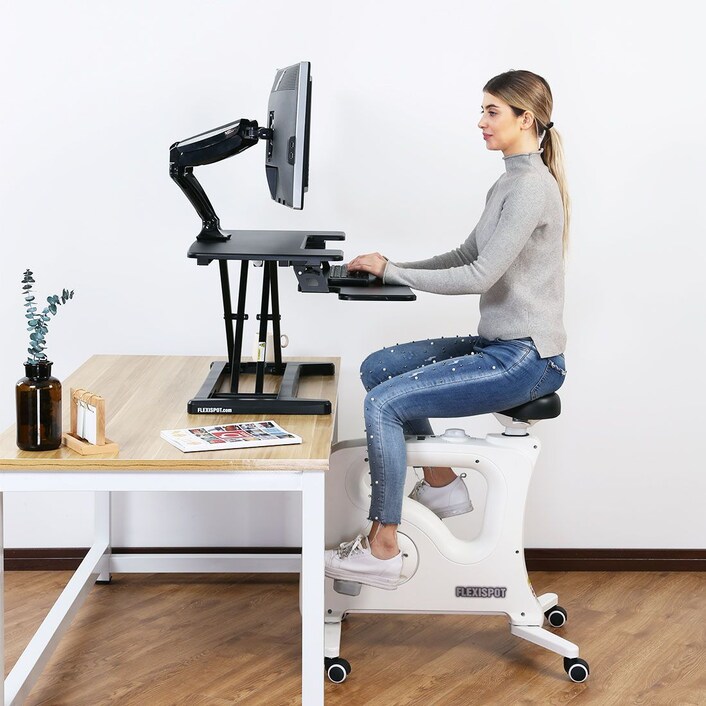 Flexispot m17b hotsell