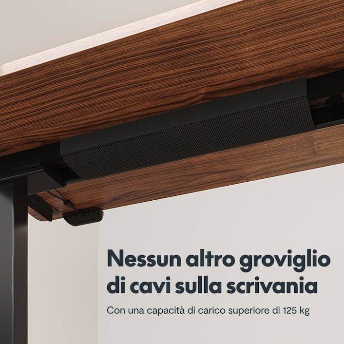 Flexispot Scrivania in legno la piattaforma con un solo tocco della leva si  alza e abbassa F3W - Mega Shopping