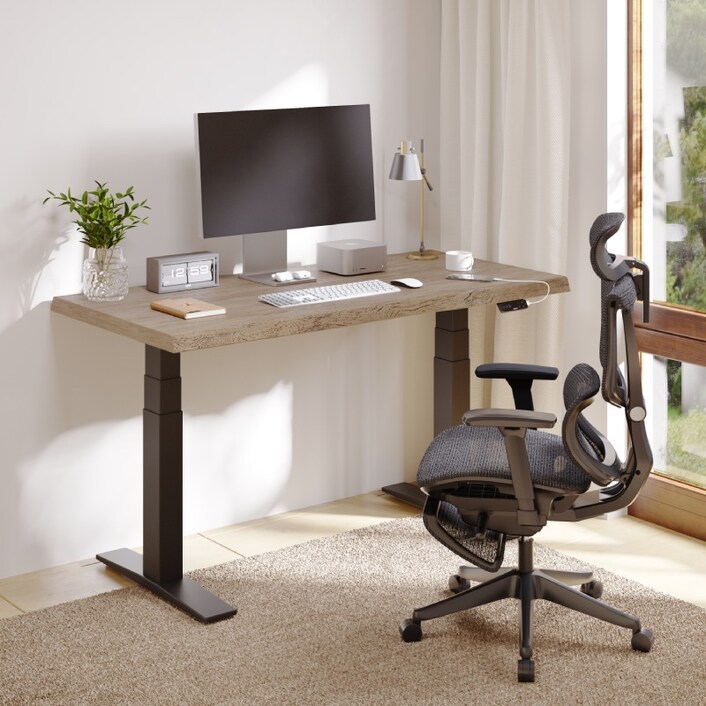 Standing Desk With Brushless Motors E9 | FlexiSpot 