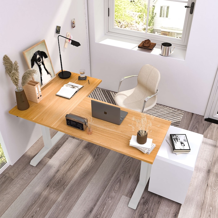 Flexispot e3ls hotsell