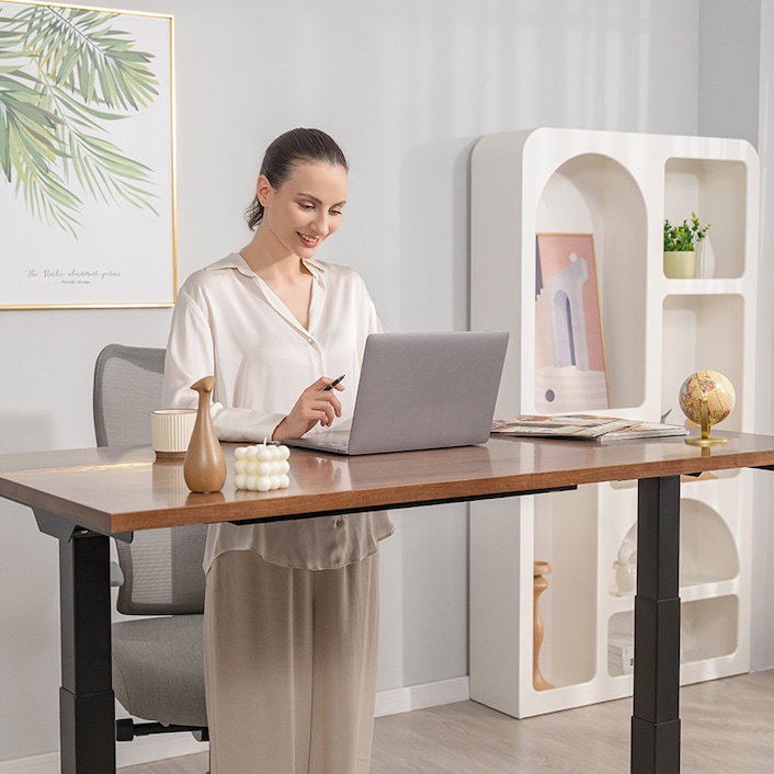 Adjustable Standing Desk Pro Series| FlexiSpot