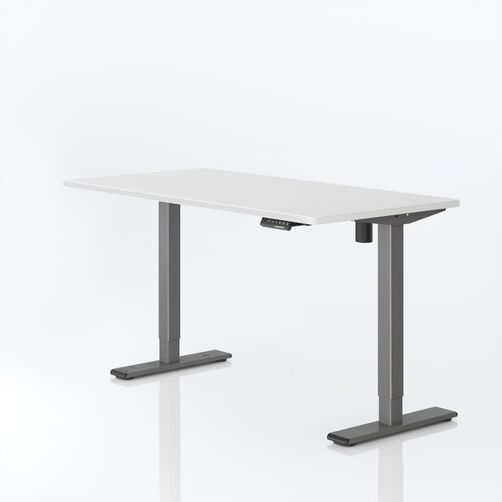 Electric Height Adjustable Standing Desk E1| FlexiSpot