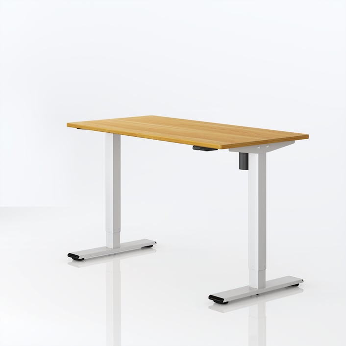 Height Adjustable Standing Desk EG1 Stand Up Desk Frame| FlexiSpot
