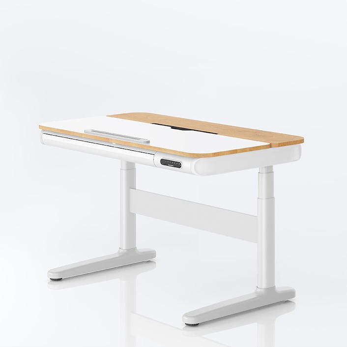Flexispot eu hot sale