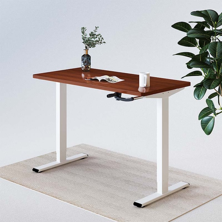 Product details FlexiSpot
