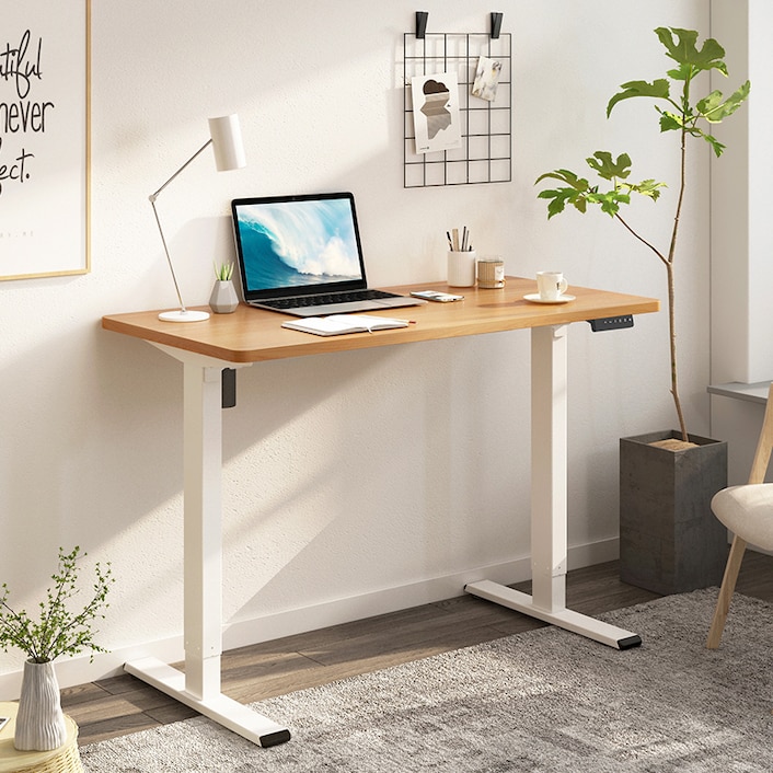 Electric Height Adjustable Standing Desk E1