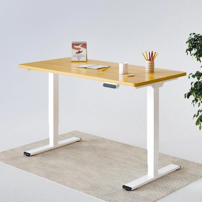 Flexispot uk shop