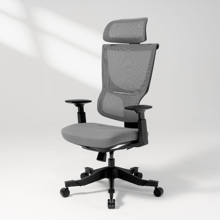 BackSupport Office Chair BS8