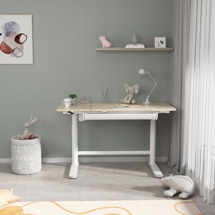 Motorised Kid s Desk SD2 FlexiSpot