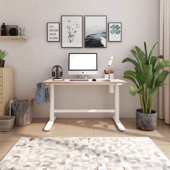 Flexispot ec1 height adjustable electric standing desk store