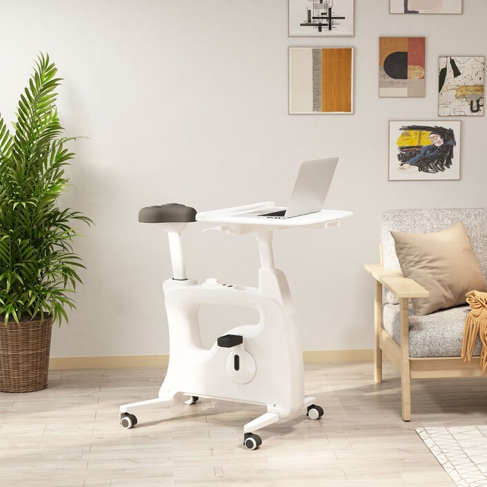 indoor bike with desk