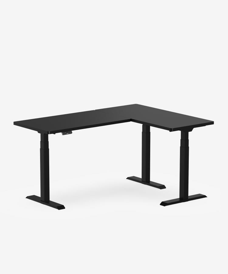 Flexispot Elektrischer Höhenverstellbarer Schreibtisch 160x80 Cm – Dualmotor, Bis 125 Cm, 100 Kg Tragkraft
