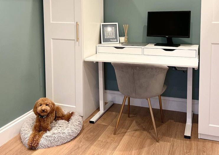 All about Covid-19 Pandemic Led To More Pet Owners Wanting To Work At ... thumbnail