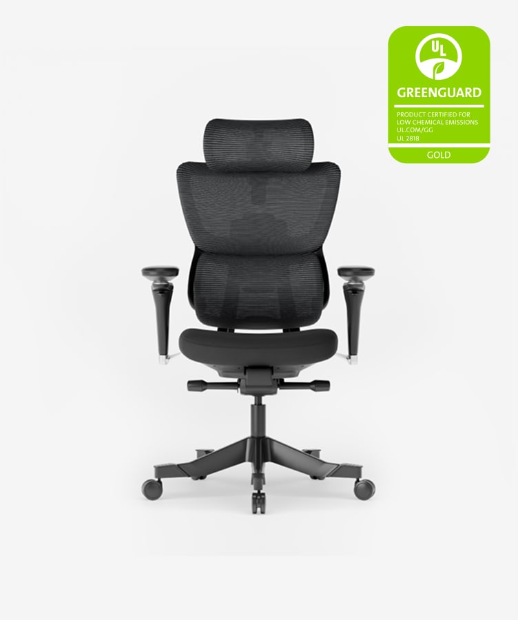CAPOT Sedia Ufficio Ergonomica Con Supporto Lombare Regolabile E Poggiatesta, Rete Arieggiata, Base In Acciaio, Carico 158kg, Garanzia 5 Anni