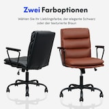FlexiSpot Drehbare Bürostühle HC3